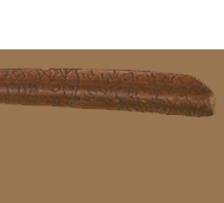 مؤسسة نوح للدراسـات العلوم الطبيعية والتاريخيـة