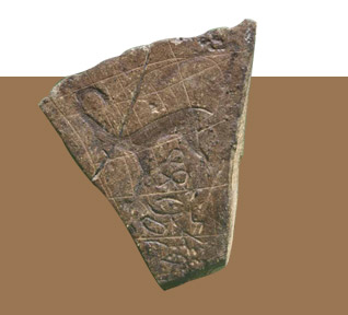 مؤسسة نوح للدراسـات العلوم الطبيعية والتاريخيـة