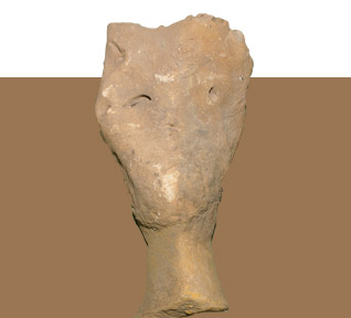 مؤسسة نوح للدراسـات العلوم الطبيعية والتاريخيـة