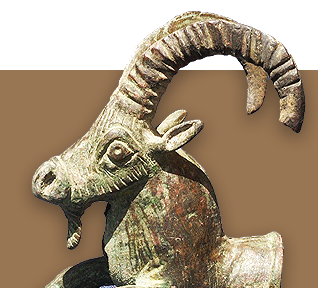 مؤسسة نوح للدراسـات العلوم الطبيعية والتاريخيـة