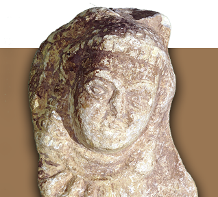 مؤسسة نوح للدراسـات العلوم الطبيعية والتاريخيـة