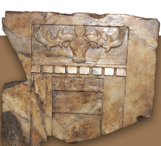 مؤسسة نوح للدراسـات العلوم الطبيعية والتاريخيـة