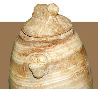 مؤسسة نوح للدراسـات العلوم الطبيعية والتاريخيـة