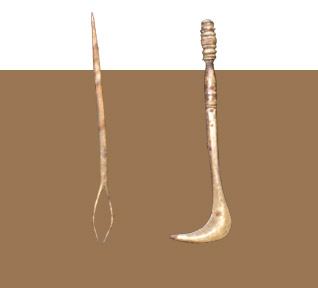 مؤسسة نوح للدراسـات العلوم الطبيعية والتاريخيـة